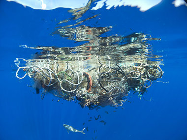 Die Abf&auml;lle im Meer sind die Basis f&uuml;r k&uuml;nstleris...