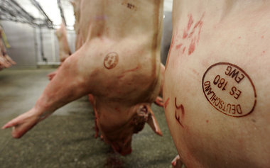 Deutsche Schweineh&auml;lften im K&uuml;hlraum: In der Russische...
