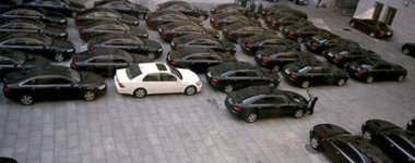 Zu viele schwarze Schafe? Dienstfahrzeuge vor der »Großen Halle ...