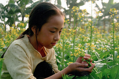 Das Mädchen Thu im vietnamesischen Wettbewerbsbeitrag »Mother’s ...