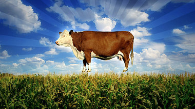 Die Nahrungsmittelindustrie hat alles im Griff: »Food, Inc... Die Nahrungsmittelindustrie hat alles im Griff: »Food, Inc...