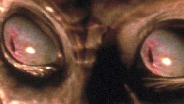 Auf der Jagd nach einer extraterritorialen Existenz: &raquo;Spec...