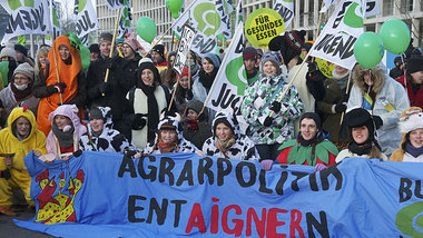 Rund 25000 Menschen haben am 19. Januar dieses Jahres in Berlin ... Rund 25000 Menschen haben am 19. Januar dieses Jahres in Berlin ...