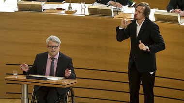 UN-Vertrag praktisch: Im Dresdener Parlament stellten der Linke-...