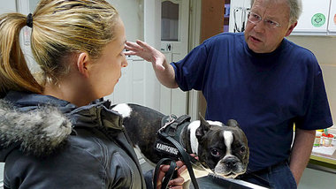 Z&uuml;chtungen und ihre Folgen: &raquo;Mensch, Hund!&laquo;
