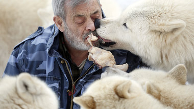 Wolfsforscher Werner Freund bei der Fütterung