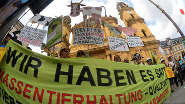 Phantasievoller Protest: Demo am 13. Juli 2013 in M&uuml;nchen. ...