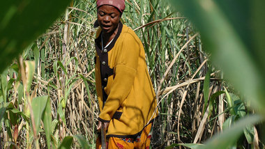 Mosambiks Kleinbauern fürchten um ihr Land
