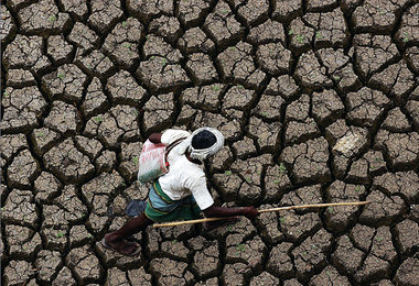 Verdorrte Felder in Indien - hervorgerufen durch den Klimawandel