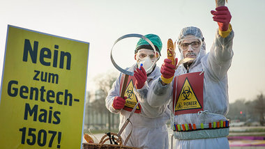 Protestaktion gegen die Zulassung der neuen Sorte am 5. Februar ...