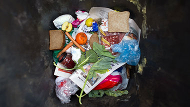 Lebensmittel aus der Mülltonne sehen zwar wenig appetitlich... Lebensmittel aus der Mülltonne sehen zwar wenig appetitlich...