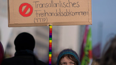 Auch Teilnehmer der Demonstration &amp;raquo;Wir haben es satt!&...