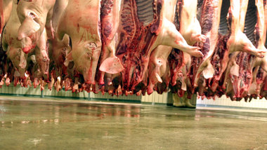 Eine Überproduktion von billigem Schweinefleisch gibt es in... Eine Überproduktion von billigem Schweinefleisch gibt es in...