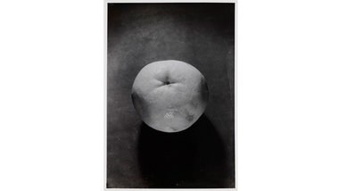 Ohne Titel (Stilleben &ndash; Pampelmuse), 1938/39