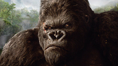 Welch ein Affe! &raquo;King Kong&laquo;