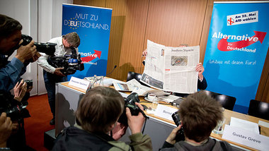 Dahinter steckt immer ein ... Hans-Olaf Henkel, AfD-Kandidat f&u...