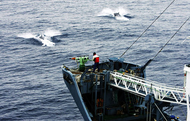 Japanisches Walfangschiff »Yushin Maru« verfolgt mit schußbereit... Japanisches Walfangschiff »Yushin Maru« verfolgt mit schußbereit...