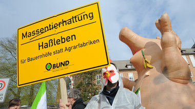 Demonstration gegen das Gro&szlig;projekt des Niederl&auml;nders...
