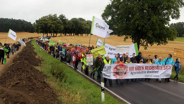 Menschenmasse gegen Massentierhaltung auf einer Allee in der Uck... Menschenmasse gegen Massentierhaltung auf einer Allee in der Uck...