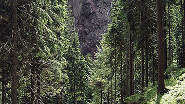 Geh&ouml;rte mal dem Volk: Falkenstein im Th&uuml;ringer Wald