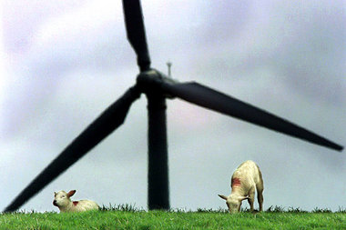 Öko-Idyll nahe Bredstedt an der Nordsee. Künftige Windkraftanlag... Öko-Idyll nahe Bredstedt an der Nordsee. Künftige Windkraftanlag...