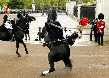Queens Guard in Nöten: Auch mit Britanniens Wirtschaft geht’s ab... Queens Guard in Nöten: Auch mit Britanniens Wirtschaft geht’s ab...