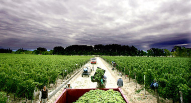 Der Konkurrenzdruck wächst. Weingut in Argentinien