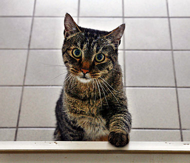 »Heute will niemand mehr ›working man‹ genannt werden«