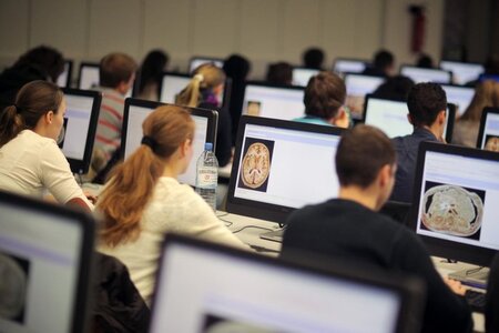 Nach der Uni und der Arbeit schon »die Freiheit« genutzt? Studie...