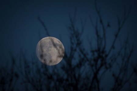 Der Vollmond. Für Werwölfe eine unwiderstehliche Versuchung Der Vollmond. Für Werwölfe eine unwiderstehliche Versuchung