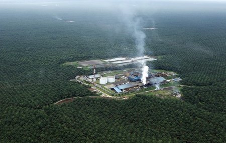 Palmölplantage mit Palmölfabrik in der indonesischen Provinz Jam...