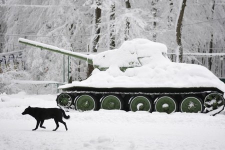 In einem Park der russischen Stadt Stawropol am 24. Dezember 201... In einem Park der russischen Stadt Stawropol am 24. Dezember 201...