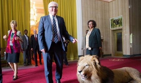 Außenminister Frank-Walter Steinmeier auf Schmusemission in Afri...