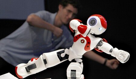 Der Tai-Chi-Roboter breitet seine Schwingen aus &ndash; und man ...