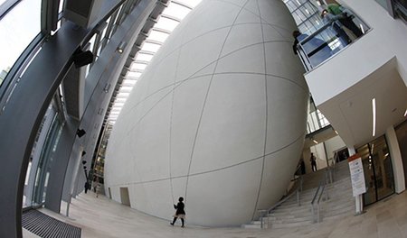 Was war zuerst da, das "Darwin-Center" oder das Ei?
