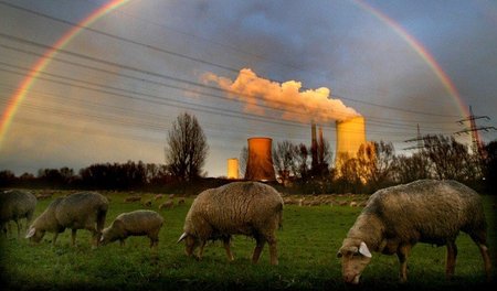 Idylle mit Regenbogen, Schafen und unsichtbarem Treibhausgas: Ko... Idylle mit Regenbogen, Schafen und unsichtbarem Treibhausgas: Ko...