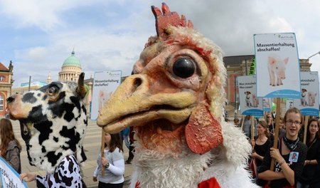 Das Demobündnis »Wir haben es satt« veranstaltete im vergangenen...