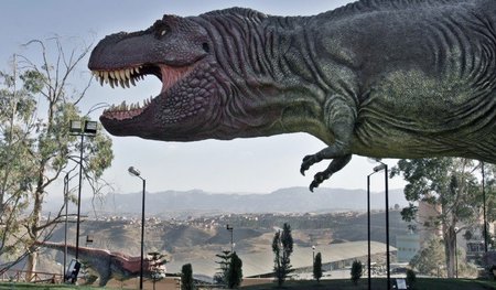 Im Visier der Raubtiere: Das Zementwerk FANCESA wurde 1999 an ei...