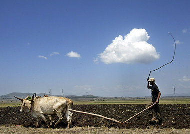 Überlebenskampf in Äthiopen. Für kleinbäuerliche Landwirte ist d... Überlebenskampf in Äthiopen. Für kleinbäuerliche Landwirte ist d...