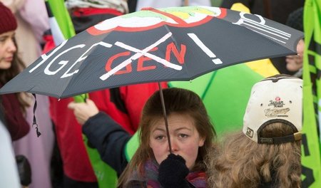 Am 17. Januar protestierten in Berlin zehntausende unter dem Mot...