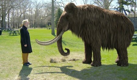 Eine Möglichkeit, ein Mammut zu erschaffen, ist die genetische M... Eine Möglichkeit, ein Mammut zu erschaffen, ist die genetische M...