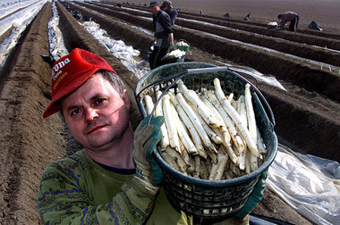 Verdienen in Großbritannien besser als in der BRD: polnische Spa...