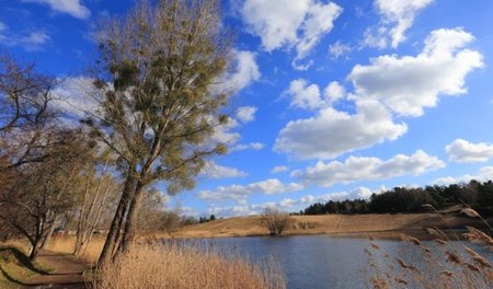 Die Wanderdüne am Kulksee: Wohnen hier die Gommeraner?