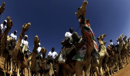 Siegessicher: Anhänger von Sudans Präsident Omar Al-Baschir bei ...