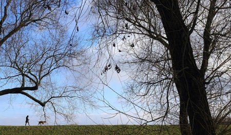»Ein bisschen Berlin« – Frau mit Hund in Biederitz »Ein bisschen Berlin« – Frau mit Hund in Biederitz