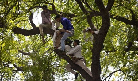 Rettungsversuch: Anhänger der Partei des kleinen Mannes versuche...