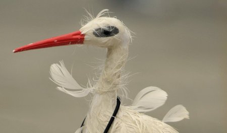 Mit Mahnwachen und Kundgebungen machten Geburtshelferinnen am In...