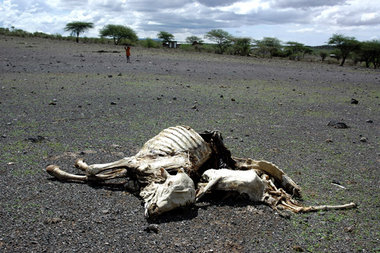 Von Reichen verursacht, von Armen teuer bezahlt: Immer längere D...