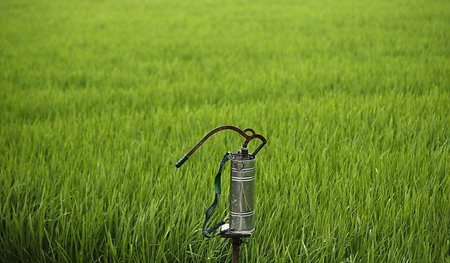 Gefahr für Mensch und Umwelt: Glyphosat