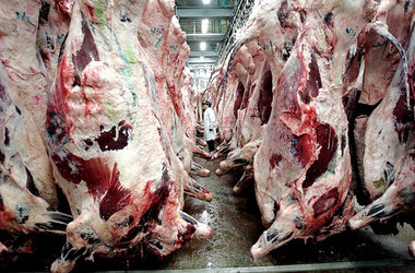 Nicht nur »Gammelfleisch«-Verkäufer können sich weiterhin hinter... Nicht nur »Gammelfleisch«-Verkäufer können sich weiterhin hinter...